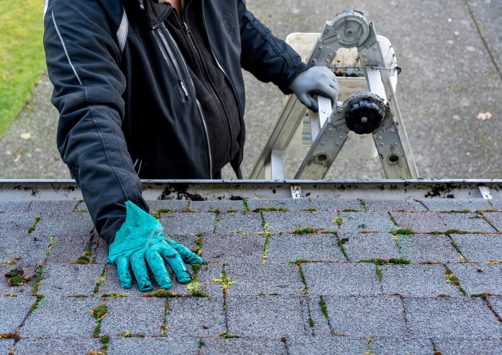 Professional roofer inspecting a asphalt shingle roof in Durham, On.