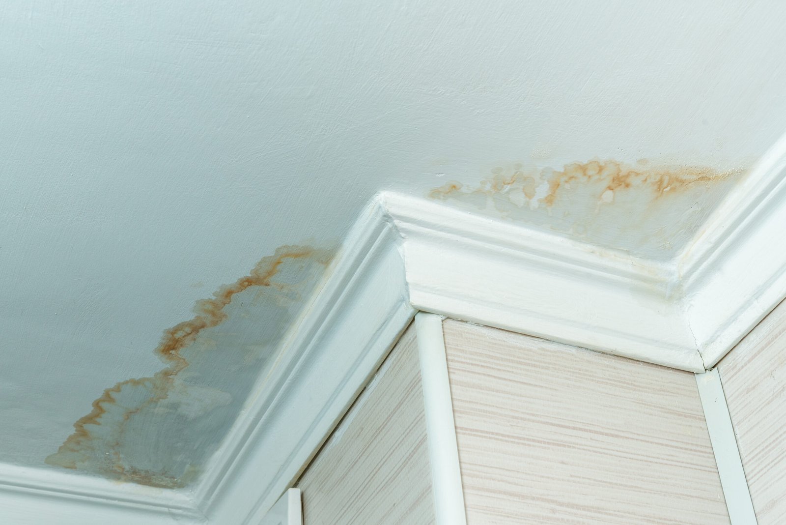 Home in Durham has a water leak from their roof, water-damaged ceiling, close-up of a stain on the ceiling.